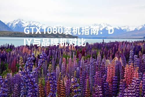 GTX 1080 装机指南：DIY 与品牌机对比